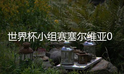 世界杯小组赛塞尔维亚0:2巴西全场比赛视频录像回放