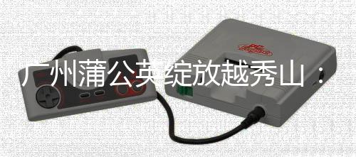 广州蒲公英绽放越秀山:一支中乙球队的品牌雄心